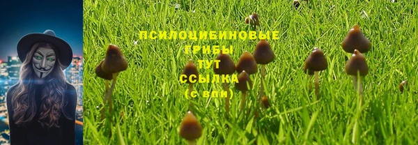 гидропоника Абдулино