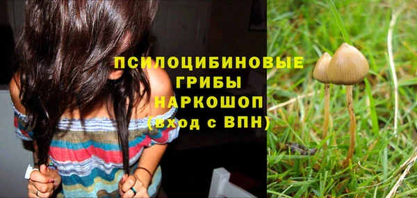 гидропоника Абдулино