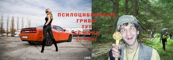 амф Абаза