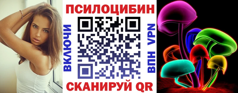 где найти   Бавлы  Псилоцибиновые грибы Psilocybe 